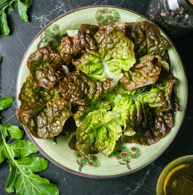 Lettuce 'Mignonette Bronze' Heirloom Seeds