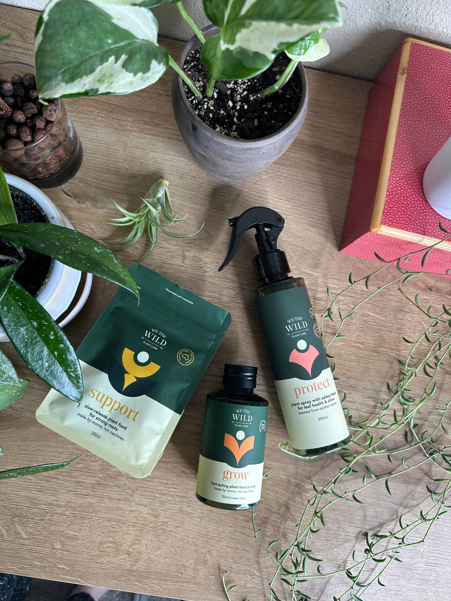 Santa Essential Plant Care Kit