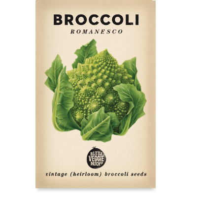 Broccoli Romanesco Heirloom Seeds (NO WA)