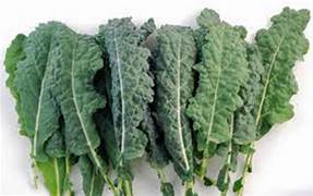 Heirloom Premier Kale Seeds