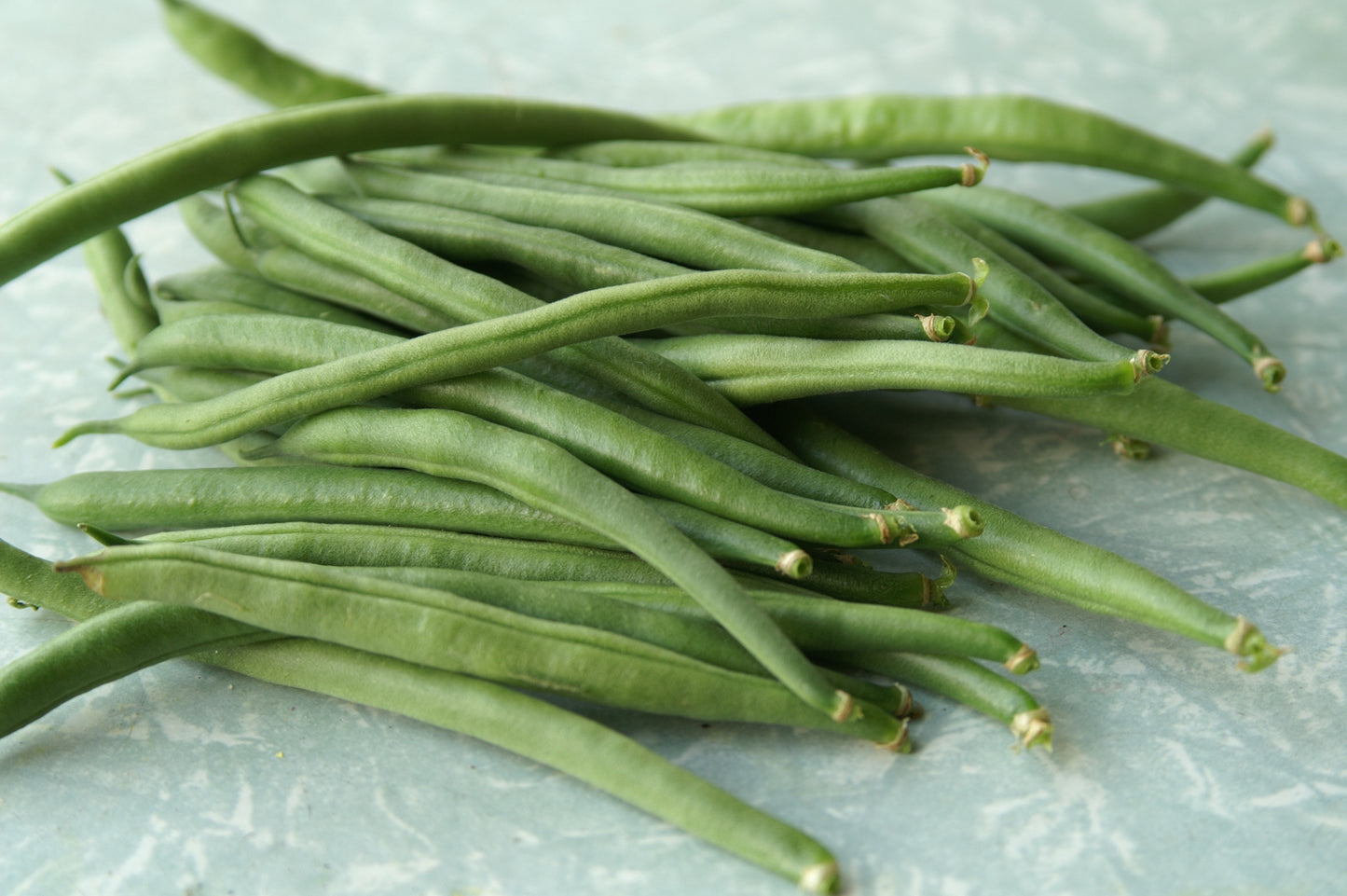 Heirloom Bean Windsor Long Pod Seeds