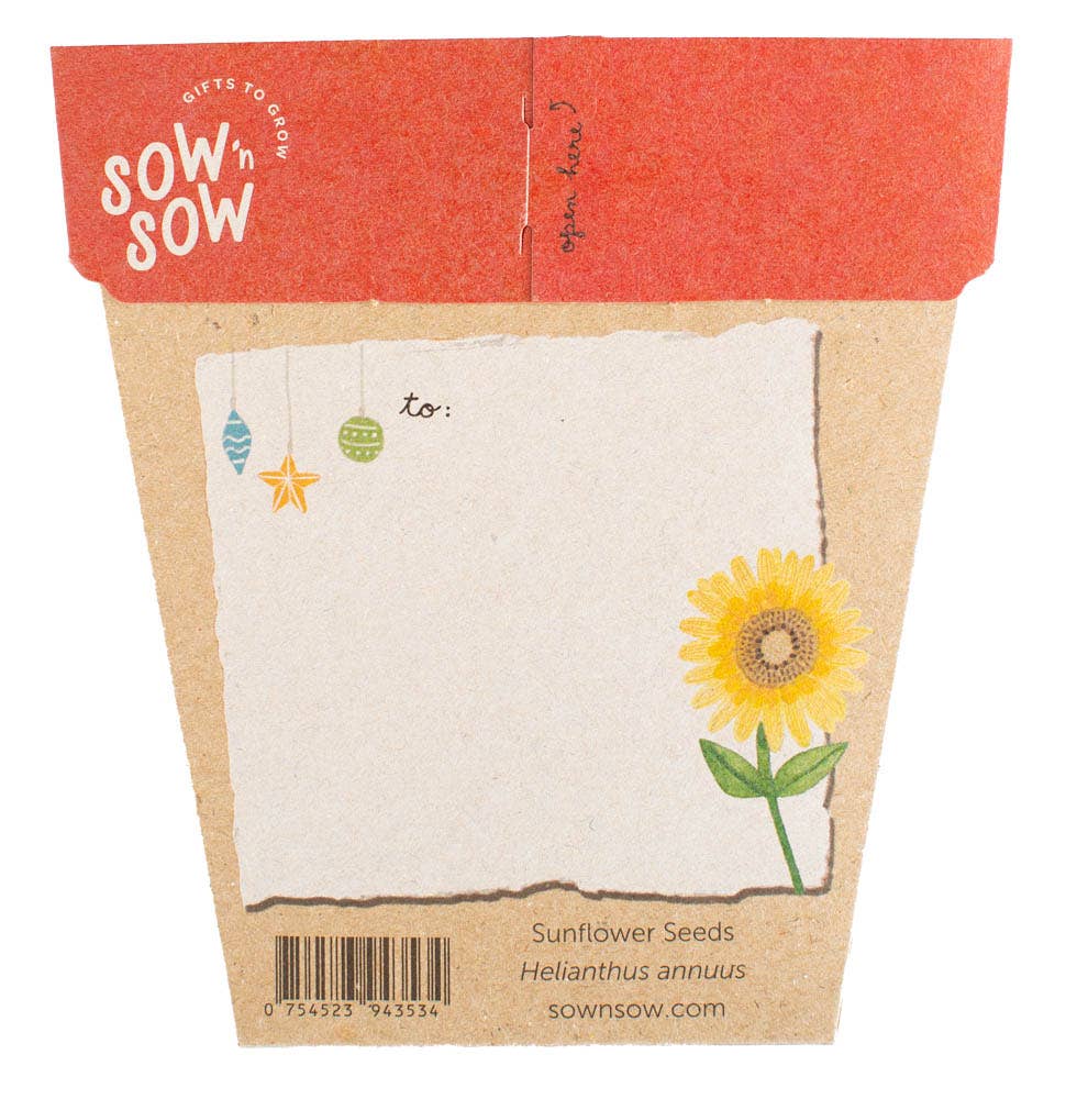 Christmas Card Sunflower Gift of Seeds