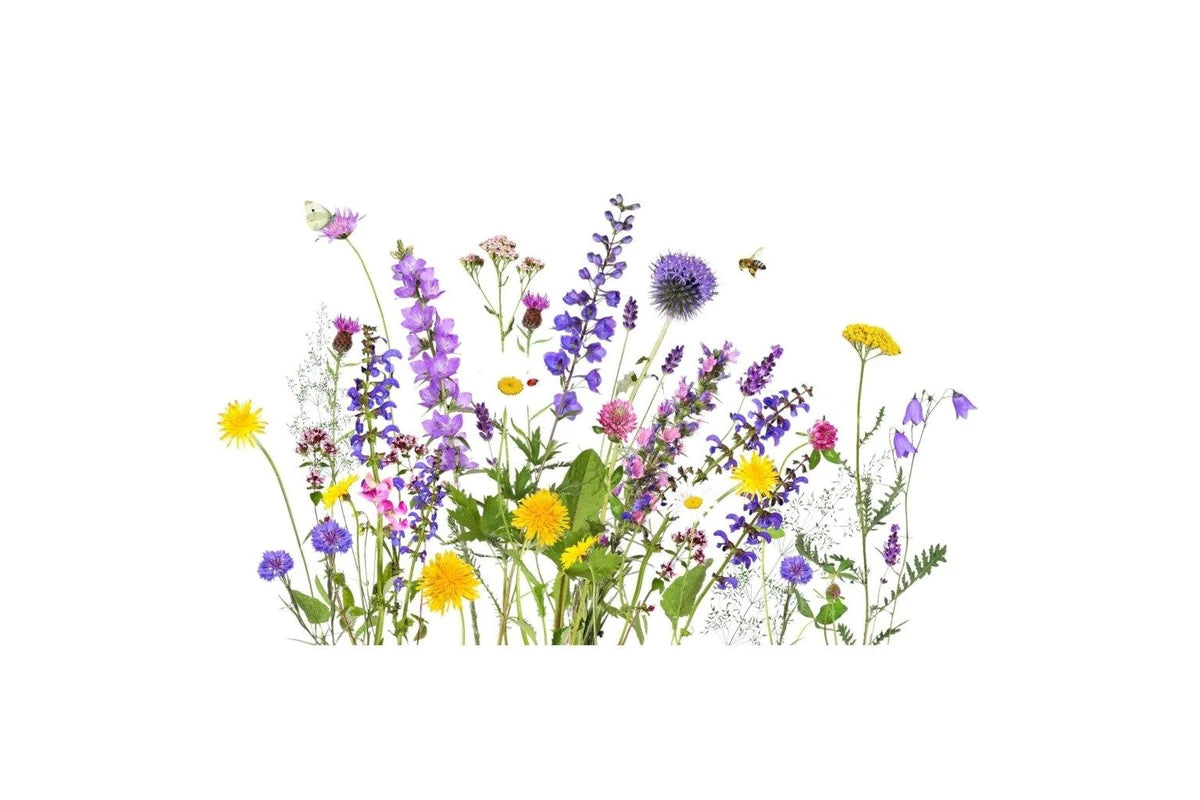 Wild Flower & Herb Mix For Good Bugs (Not to WA or TAS)