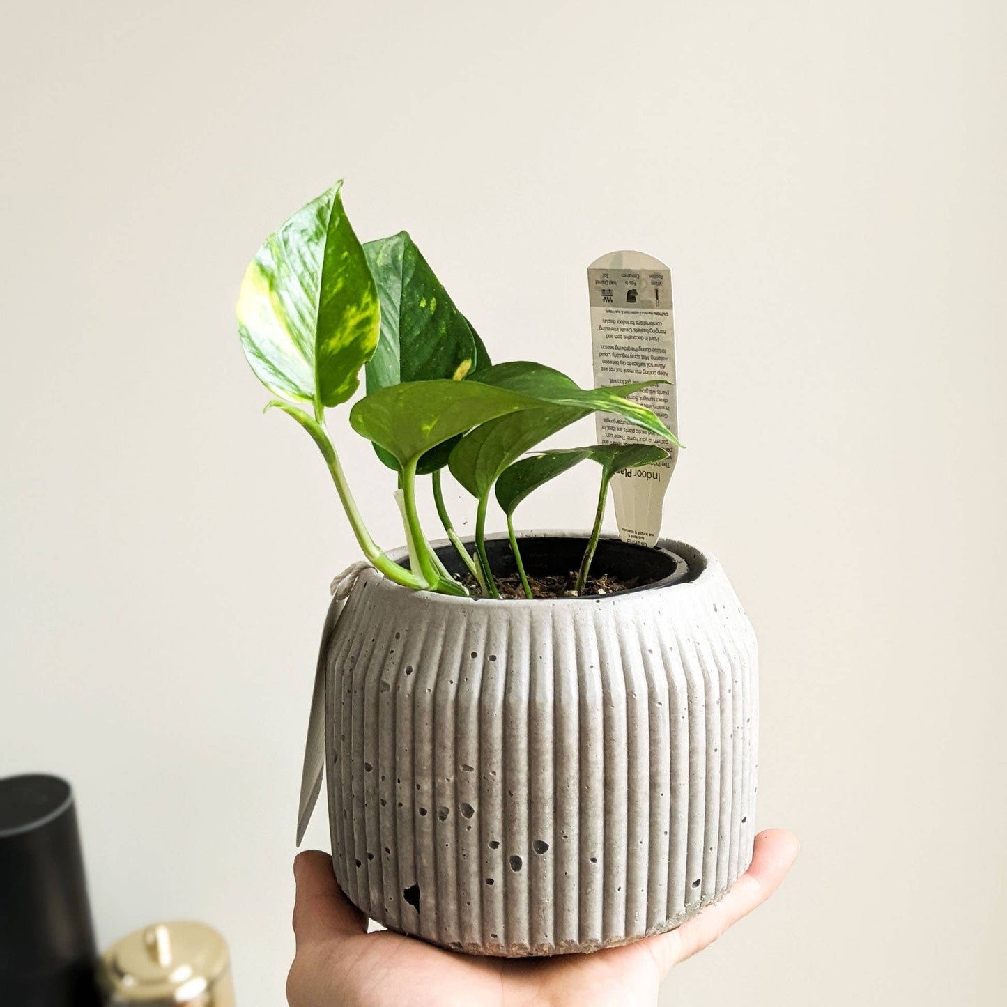 Hemp & Coconut fibre Rib Pot - Handcrafted in Australia