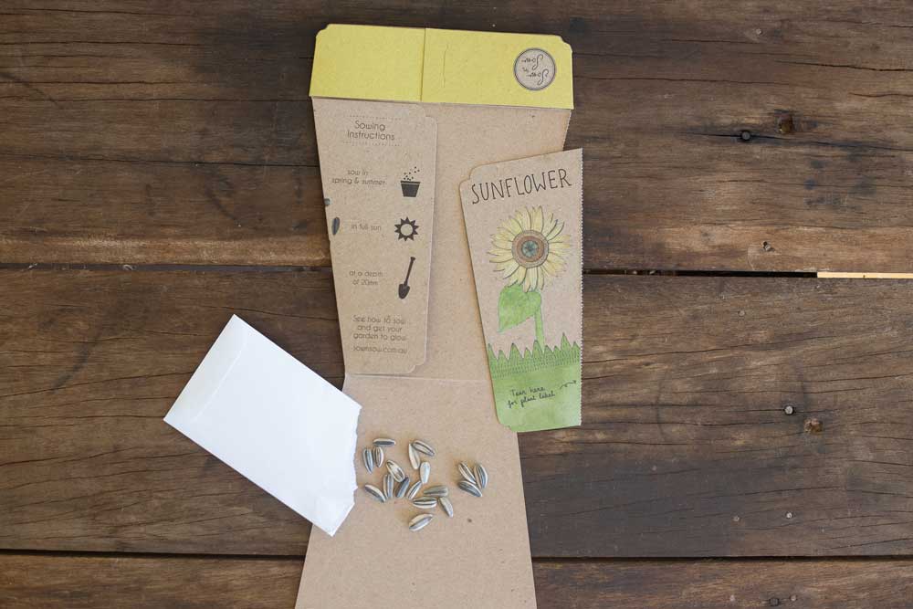 Sunflower Card Gift of Seeds