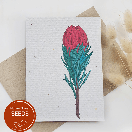 Plantable Waratah Card - Lemon Scented Bootlebrush: Lemon Scented Bottlebrush