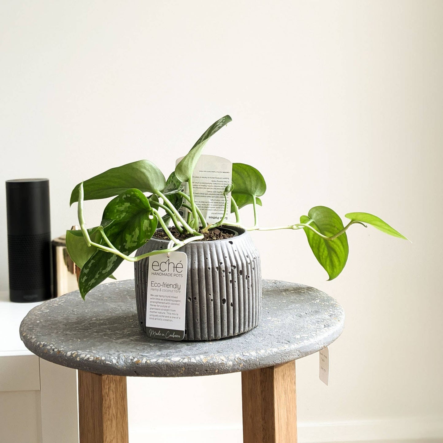 Hemp & Coconut fibre Rib Pot - Handcrafted in Australia