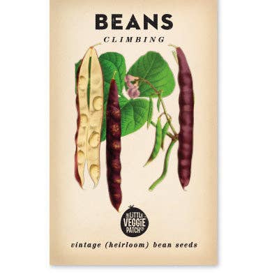 Beans Climbing 'Scarlett Runner' Heirloom Seeds: Beans