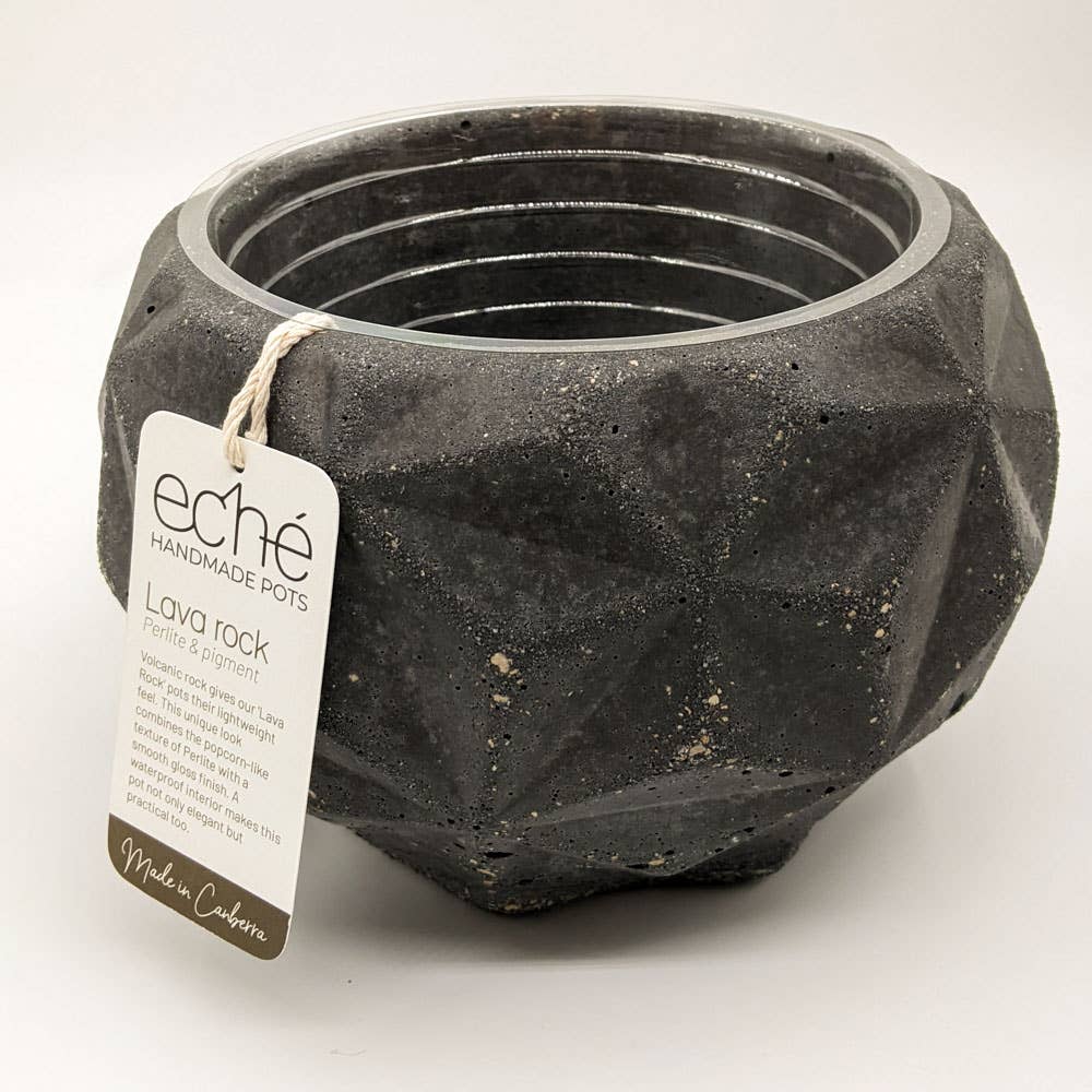Lava Rock Dino Pot