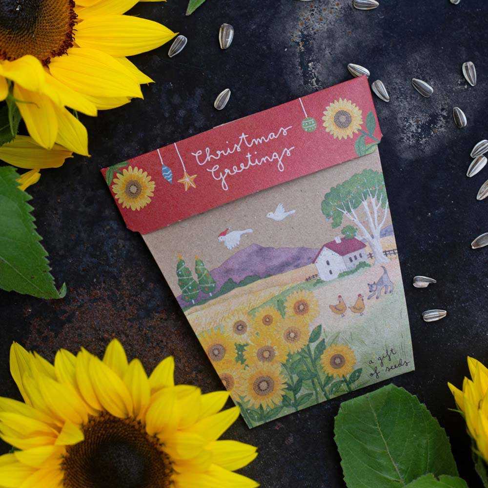 Christmas Card Sunflower Gift of Seeds