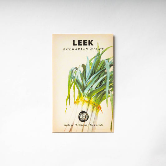 Leek 'Giant Bulgarian" Heirloom Seeds