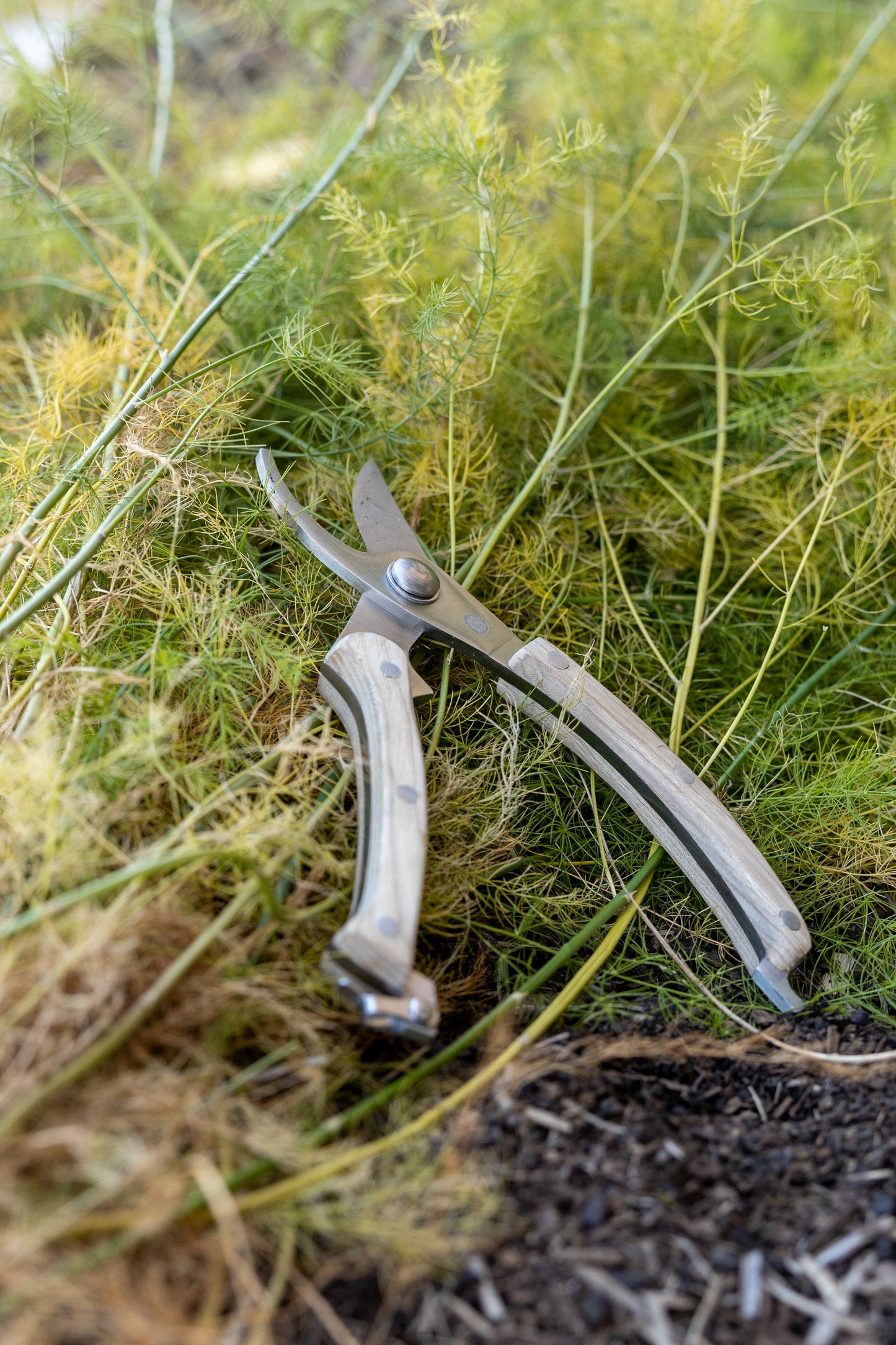 Secateurs