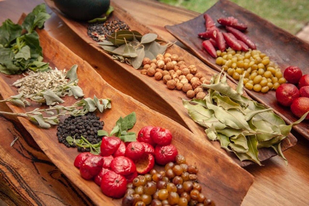 Bush Tucker Collection