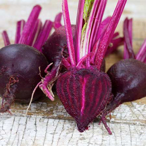 Heirloom Beetroot Bulls Blood Seeds