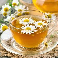Chamomile German Seeds