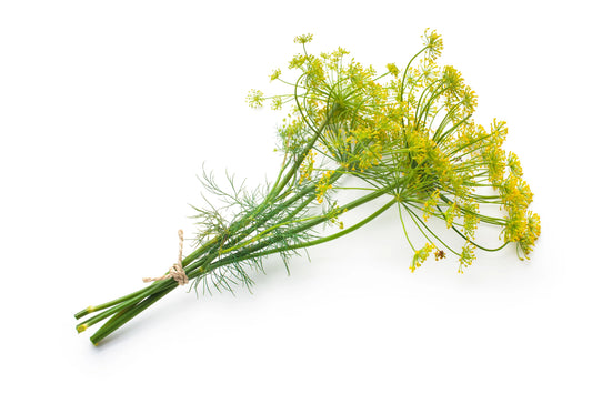 Dill Bouquet Seeds
