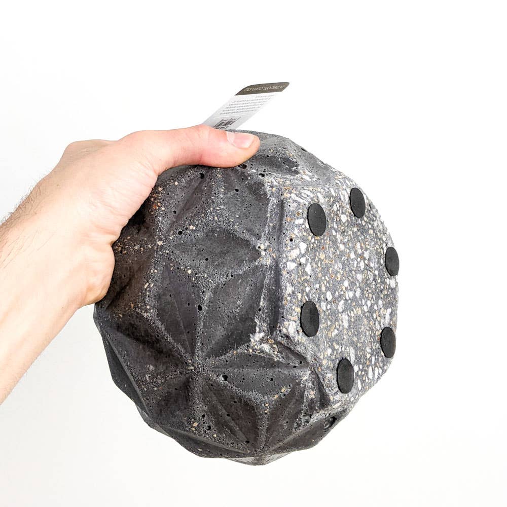 Lava Rock Dino Pot