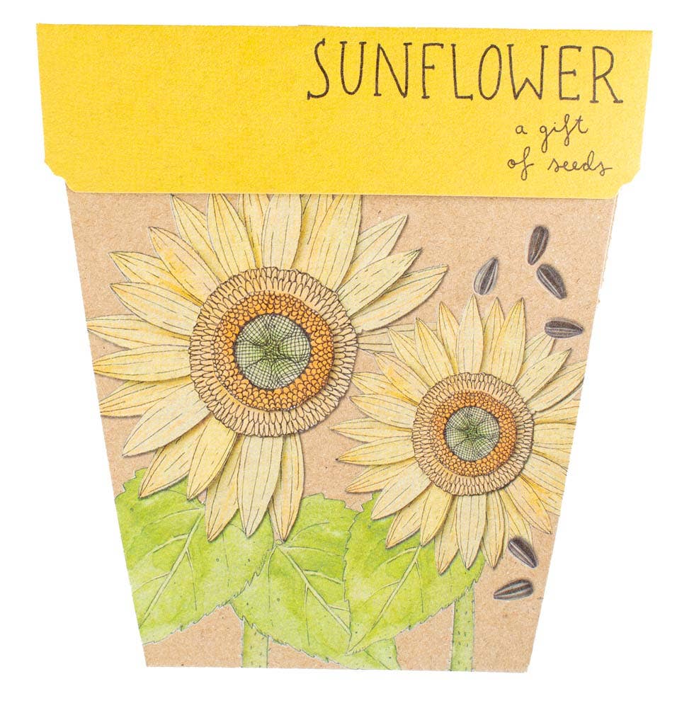 Sunflower Card Gift of Seeds