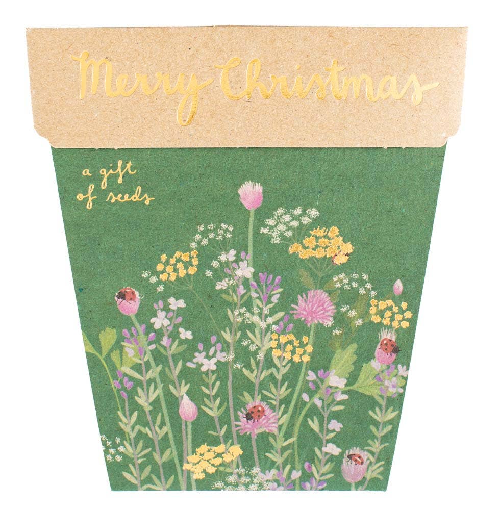 Christmas Card Herbs Gift of Seeds