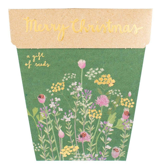 Christmas Card Herbs Gift of Seeds