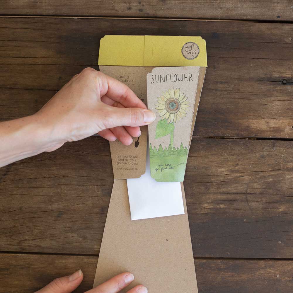 Sunflower Card Gift of Seeds