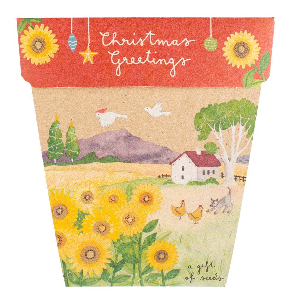 Christmas Card Sunflower Gift of Seeds