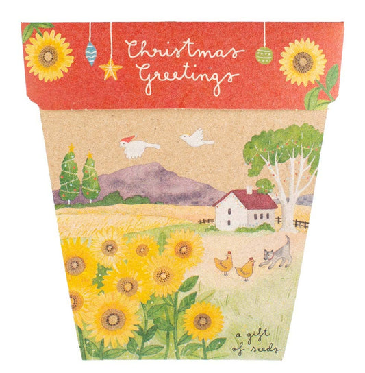 Christmas Card Sunflower Gift of Seeds