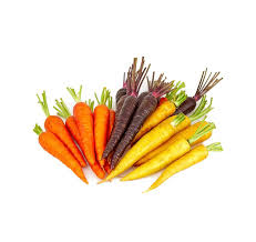 Heirloom Carrots Red, White, Purple & Yellow Seeds