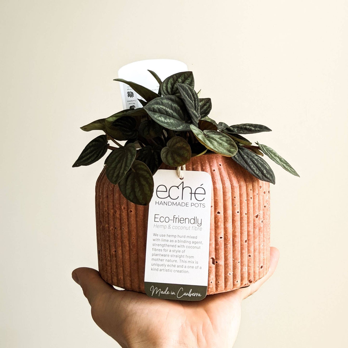 Hemp & Coconut fibre Rib Pot - Handcrafted in Australia