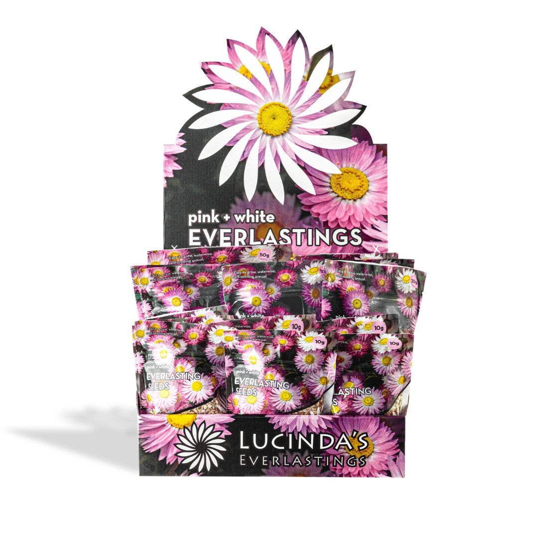 Everlasting Paper Daisy Seed - 10 g