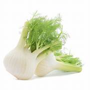 Florence Fennel Seeds