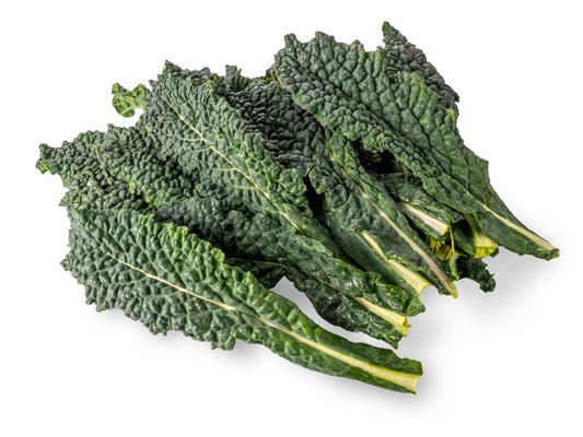 Heirloom Black Toscana Kale