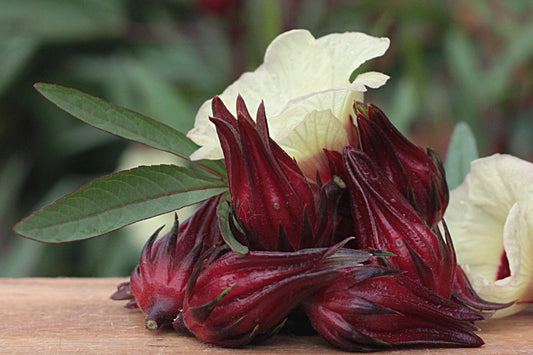 Rosella Seeds