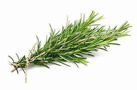 Rosemary Seeds